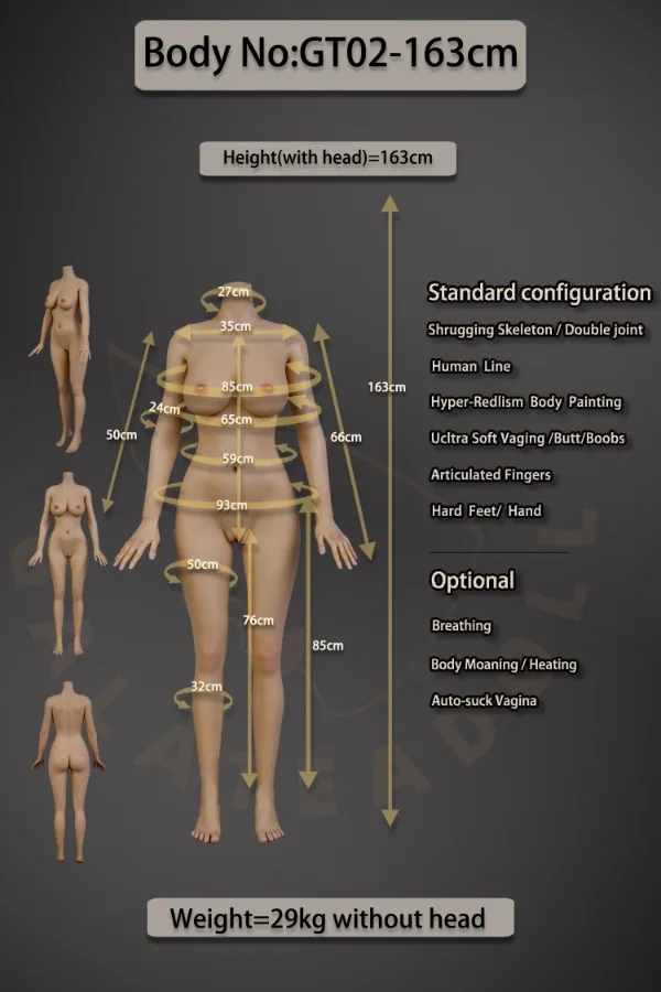 GT02 – Silicone 163cm/64.17″ E-CUP 29kg/63.93lbs Sex Doll view 2