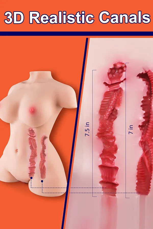 17lb New S Shape Double Channel Sex Torso