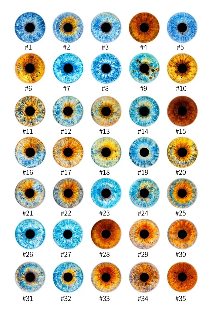 3D Handmade Eyeball Customization view 2