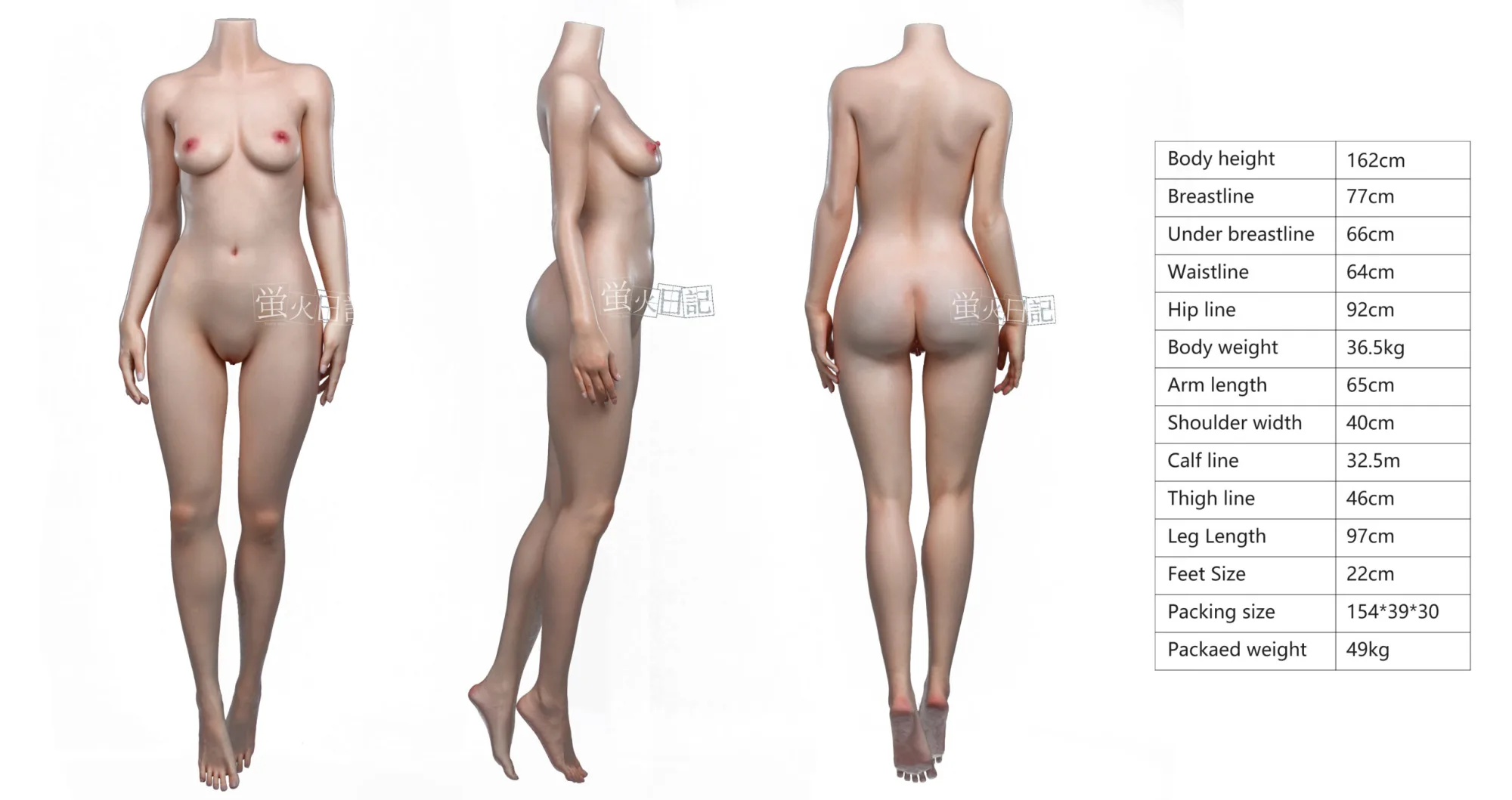 Xueli – Silicone 162cm/63.78″ B-CUP 30kg/66.14lbs Sex Doll view 5