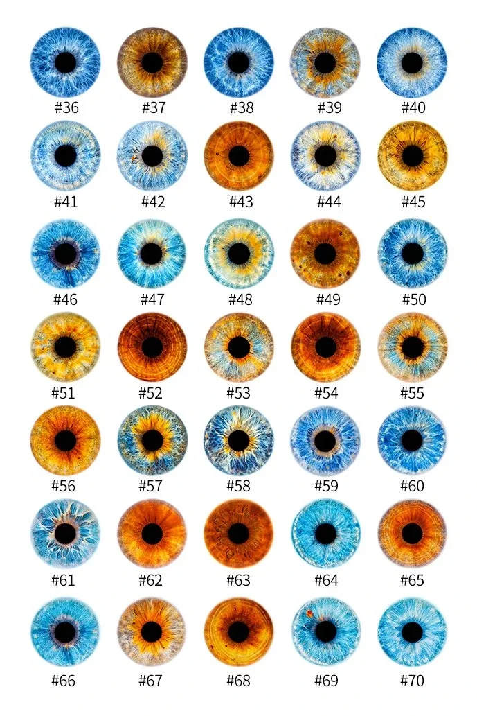 3D Handmade Eyeball Customization view 3