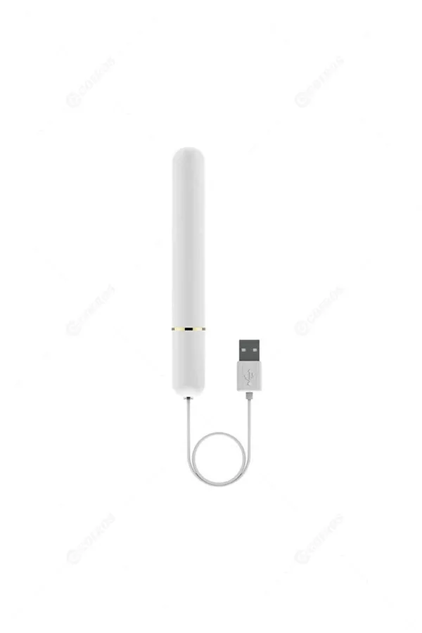 USB Heating Rod