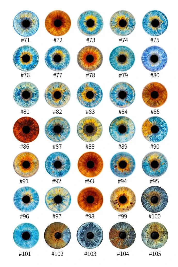 3D Handmade Eyeball Customization view 4